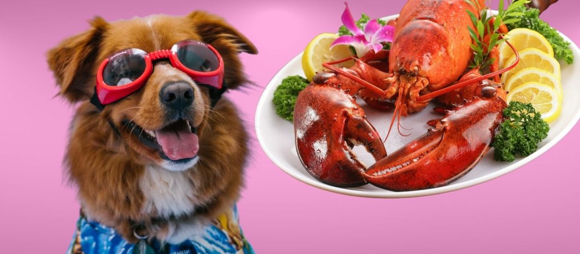 Can Dogs Eat lobster?