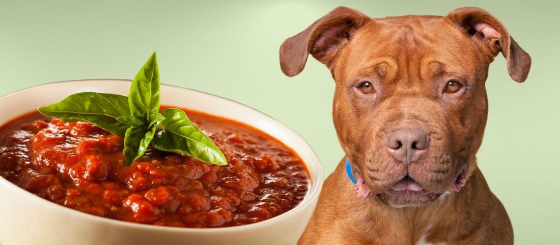 Can Dogs Eat marinara sauce?