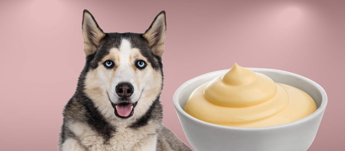 Can Dogs Eat mayo?