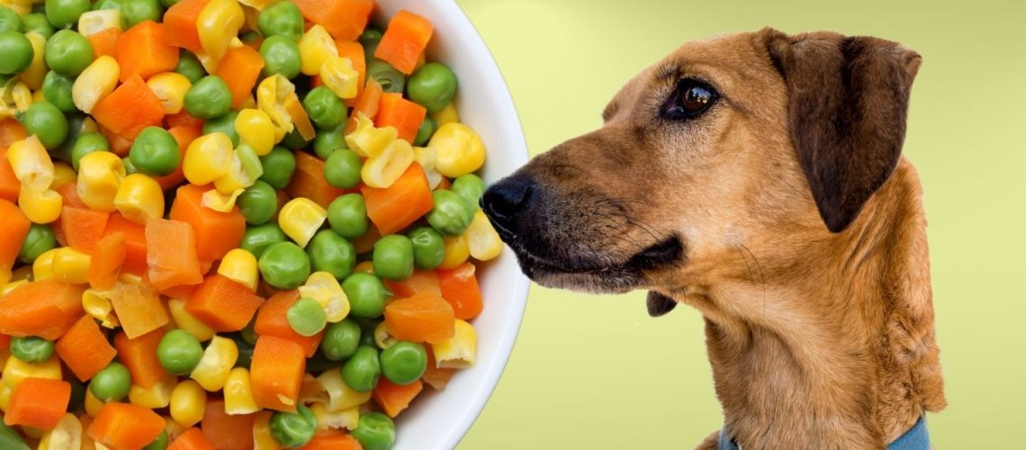 Can Dogs Eat mixed vegetables?