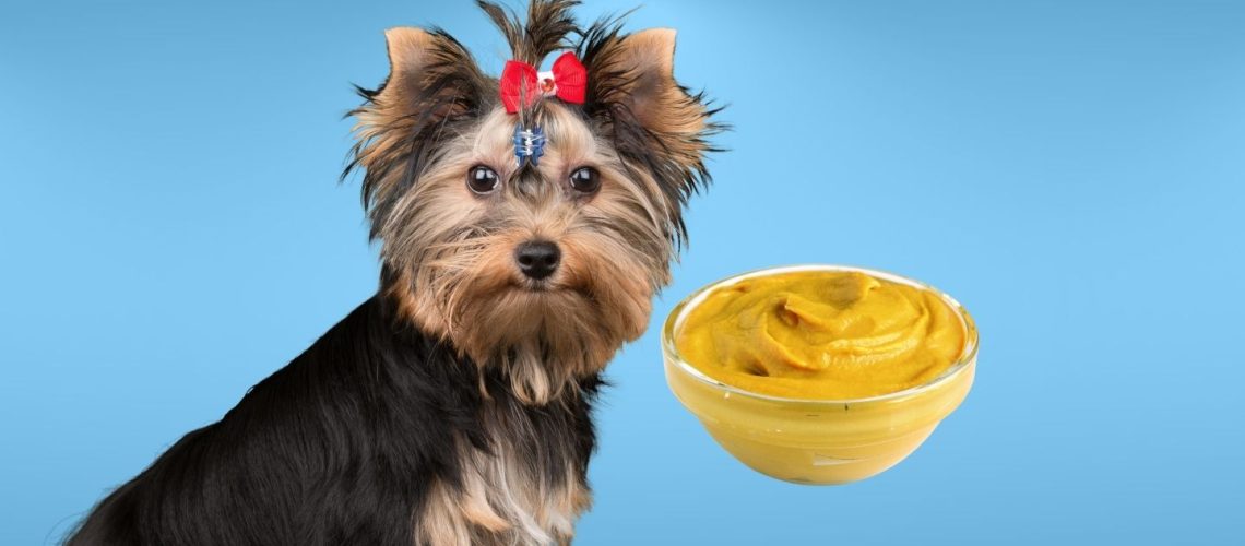 Can Dogs Eat mustard?