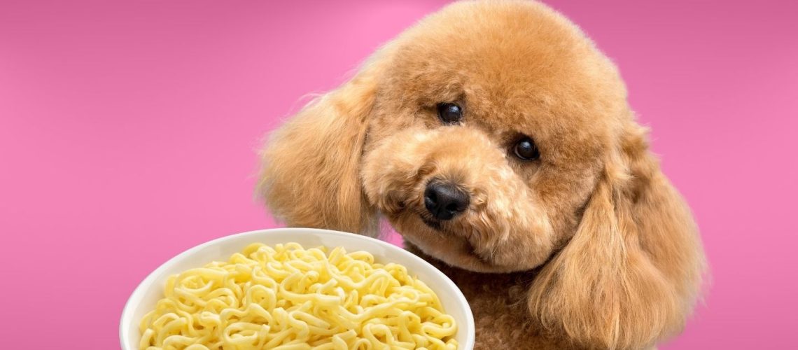 Can Dogs Eat Noodles? A Comprehensive Guide