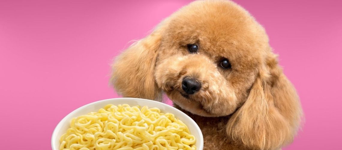 Can Dogs Eat noodles?