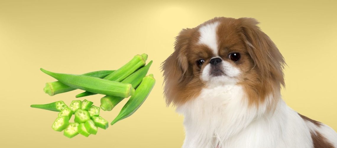 Can Dogs Eat okra?