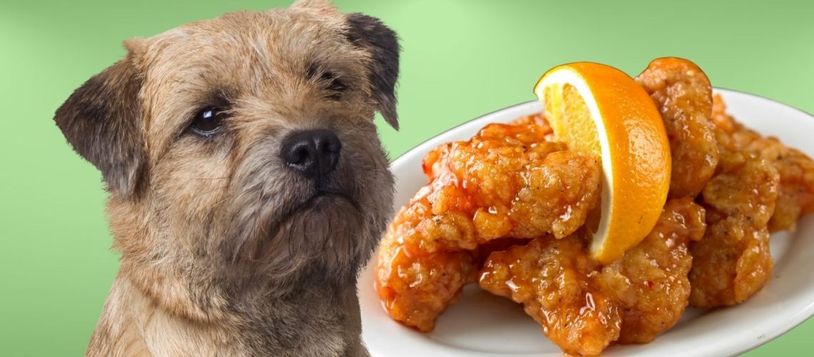 Can Dogs Eat orange chicken?