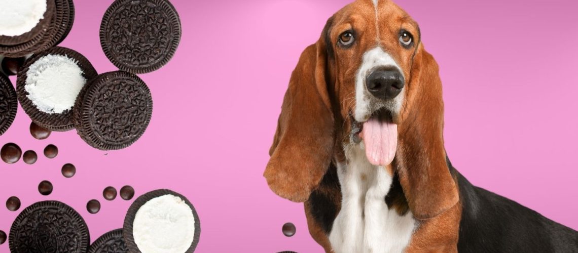 Can Dogs Eat oreos?
