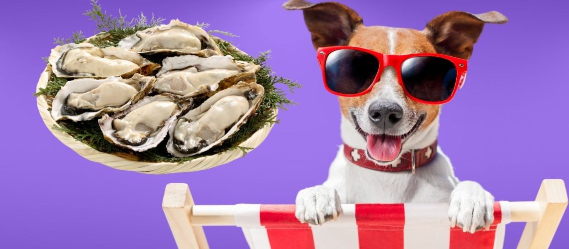 Can Dogs Eat oysters?