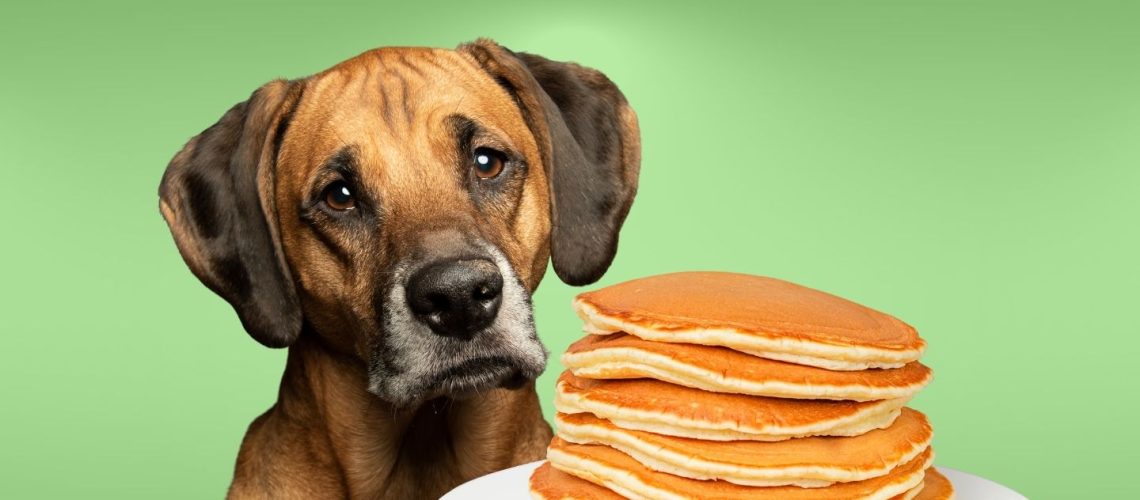 Can Dogs Eat pancakes?