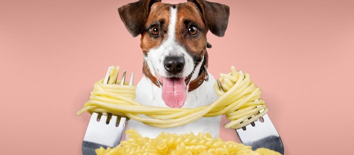 Can Dogs Eat pasta?