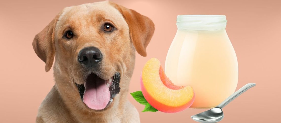 Can Dogs Eat peach yogurt?