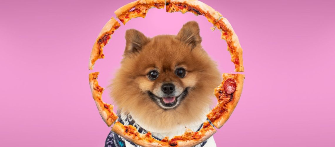 Can Dogs Eat pizza crust?