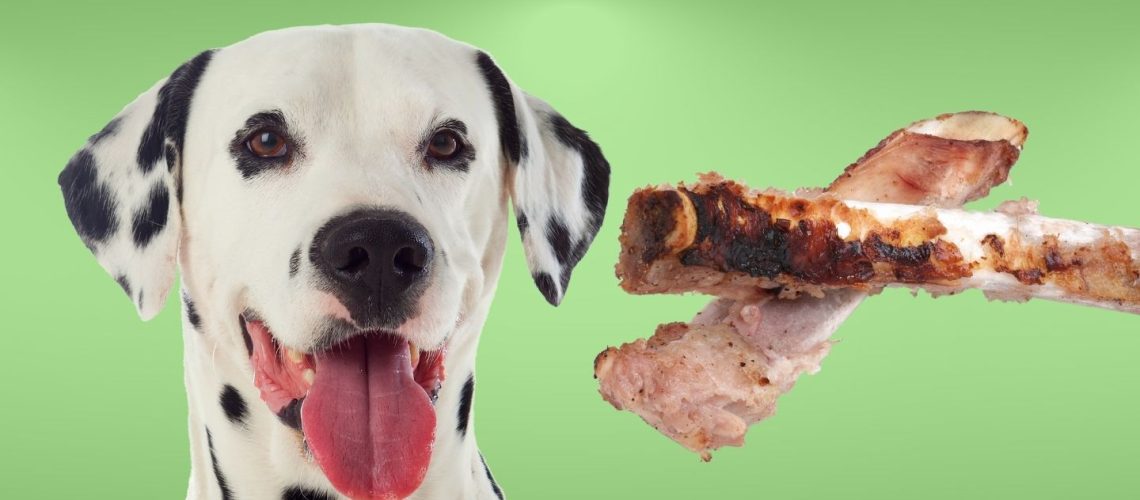 Can Dogs Eat pork chop bones?