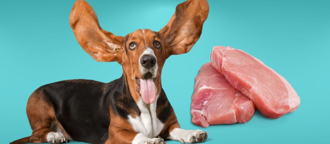 Can Dogs Eat pork?