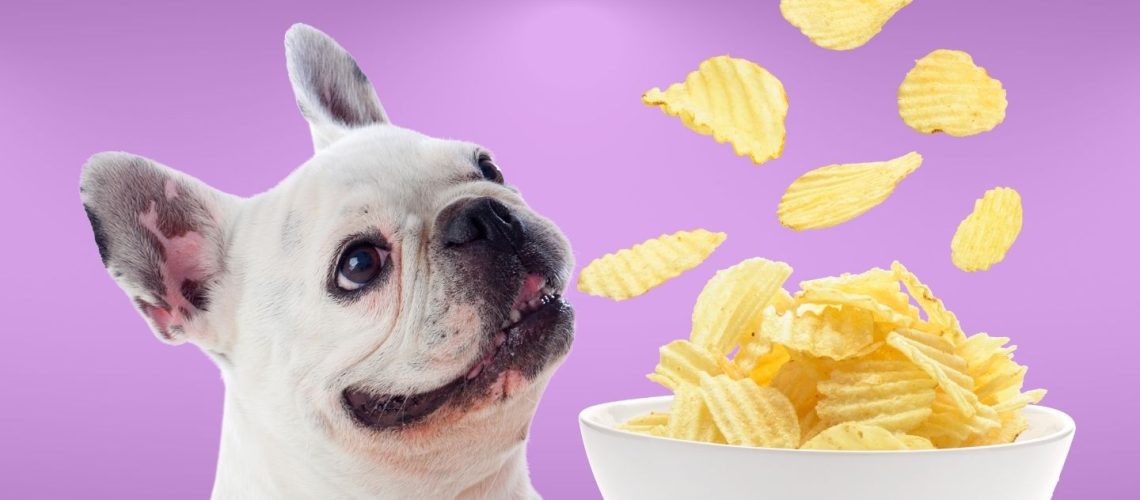 Can Dogs Eat Potato Chips? The Risks and Benefits