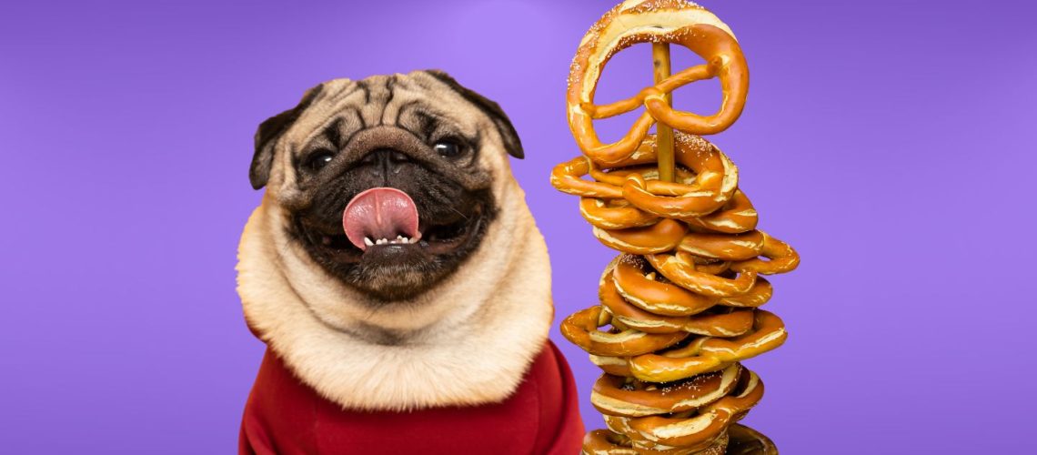 Can Dogs Eat pretzels?