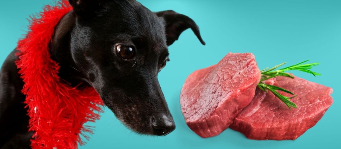 Can Dogs Eat raw beef?