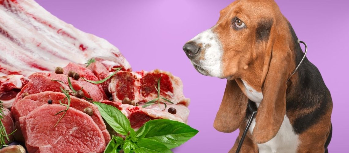 Can Dogs Eat raw meat?