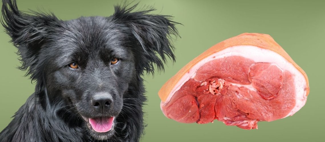 Can Dogs Eat raw pork?