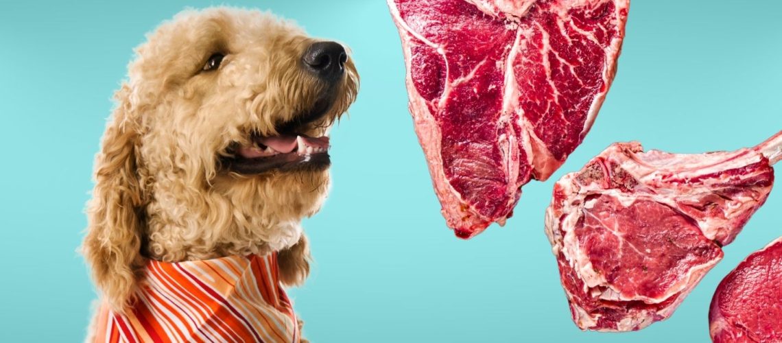 Can Dogs Eat raw steak?
