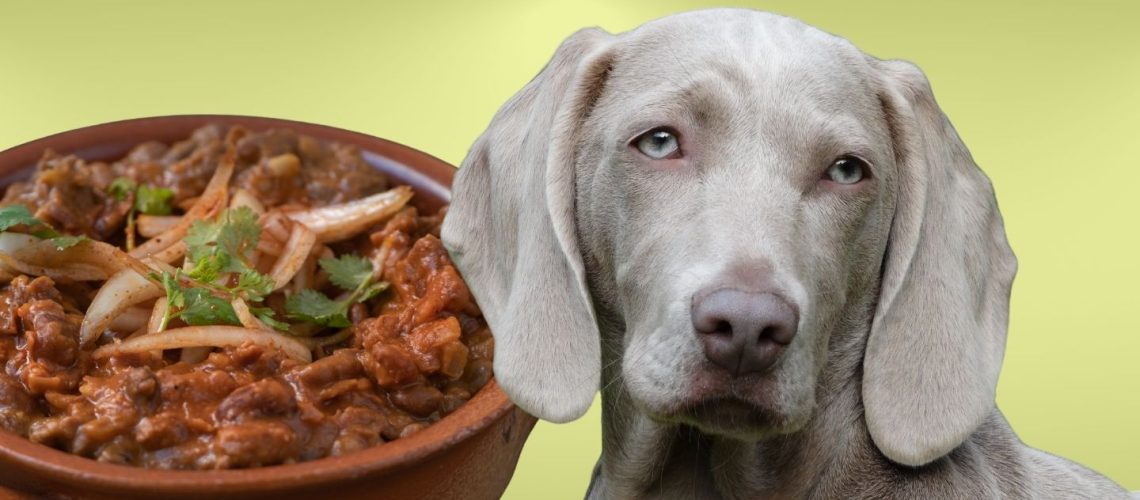 Can Dogs Eat refried beans?