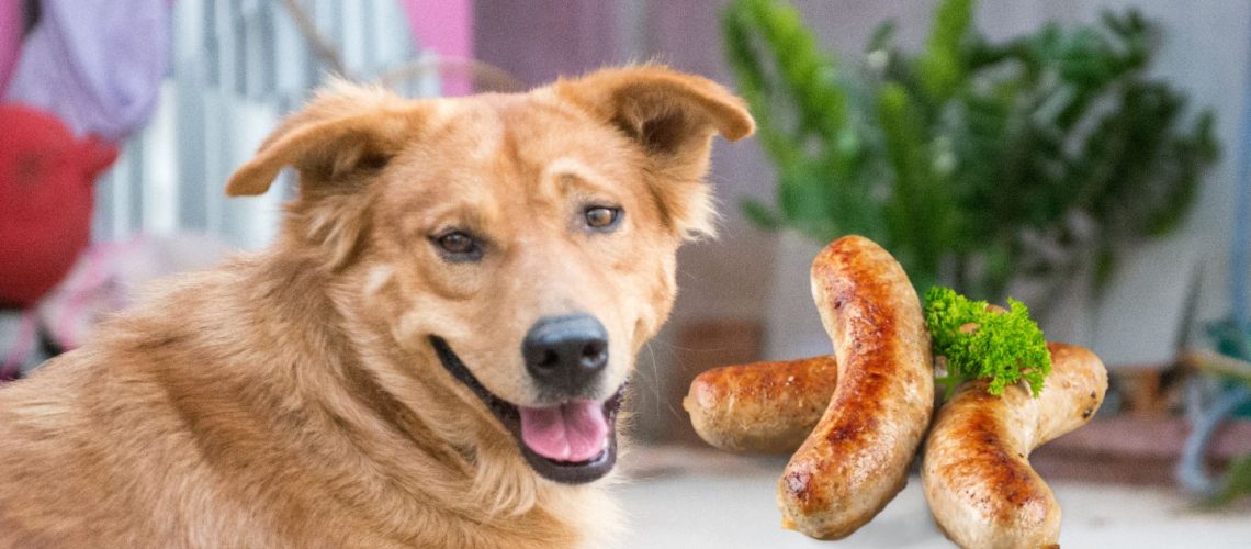 Can Dogs Eat sausage?
