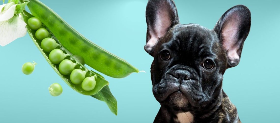 Can Dogs Eat snap peas?