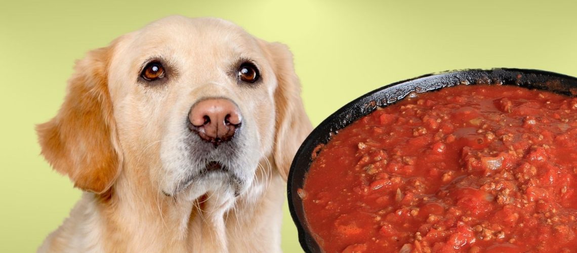 Can Dogs Eat Spaghetti Sauce? The Risks And Dangers
