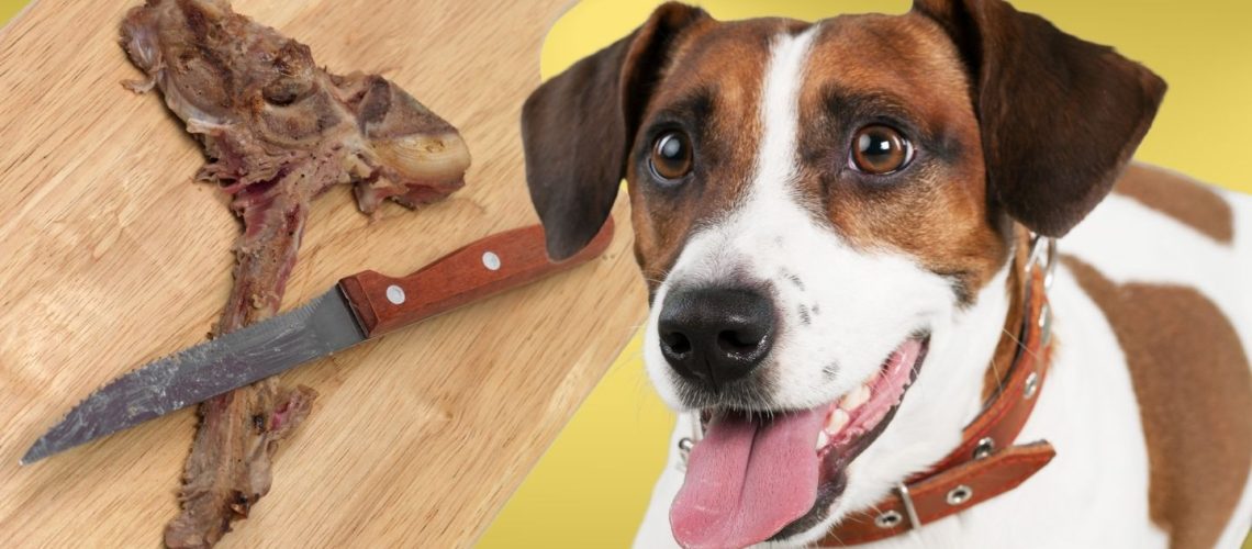 Can Dogs Eat steak bones?