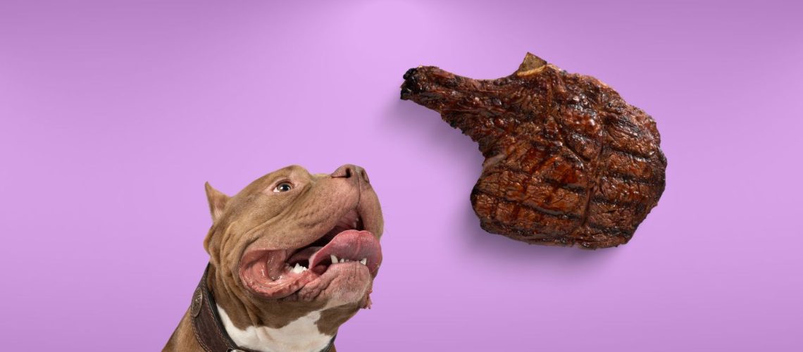 Can Dogs Eat steak?