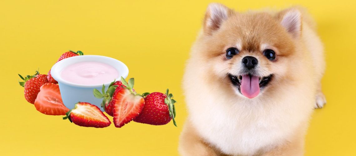 Can Dogs Eat Strawberry Yogurt? The Risks and Benefits
