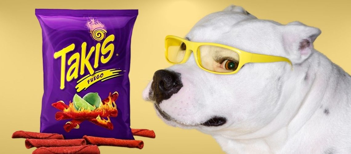Can Dogs Eat Takis? The Risks And Dangers