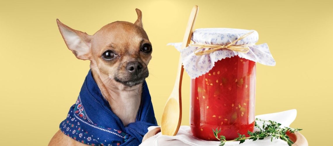 Can Dogs Eat tomato sauce?