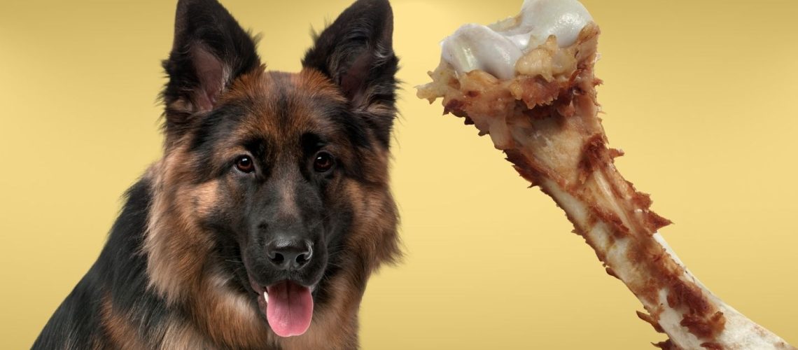 Can Dogs Eat turkey bones?