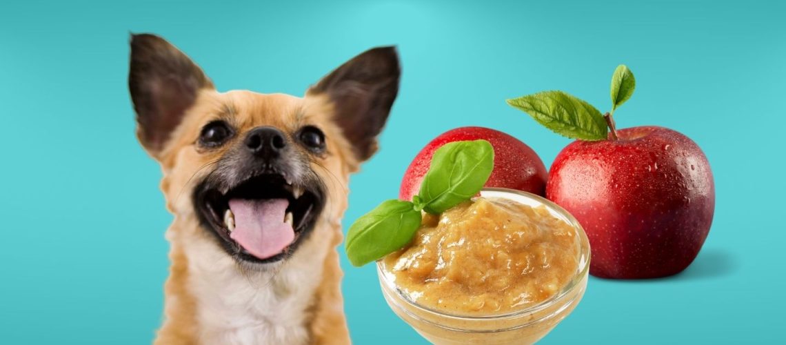 Can Dogs Eat Unsweetened Applesauce? Find Out Here
