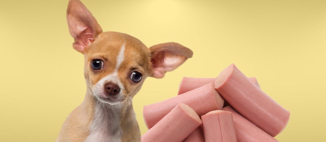 Can Dogs Eat vienna sausages?