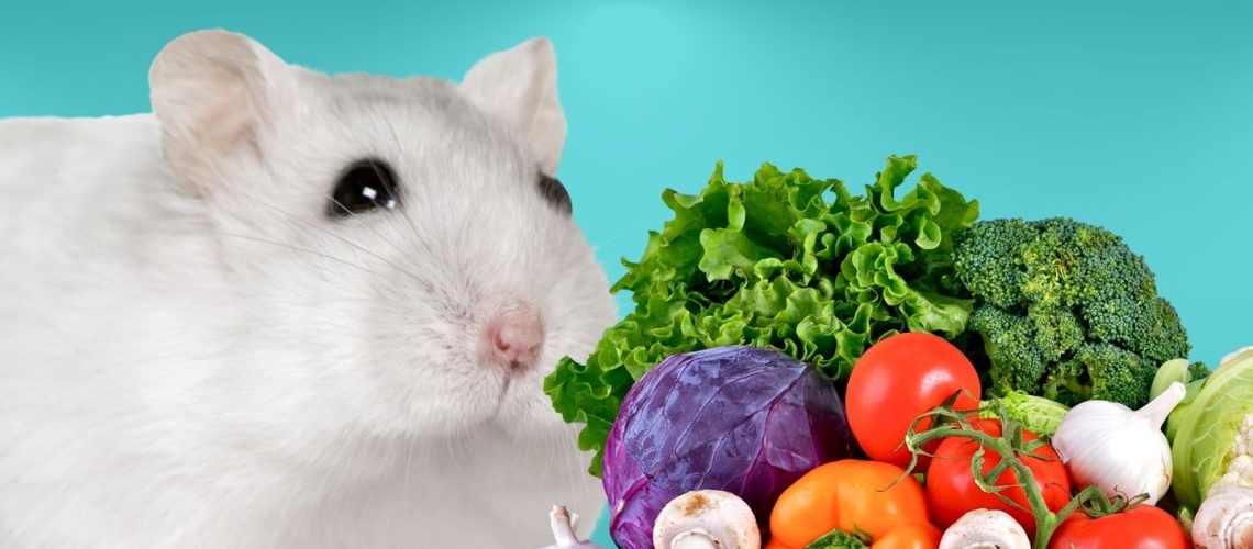 Can Hamsters Eat vegetables?