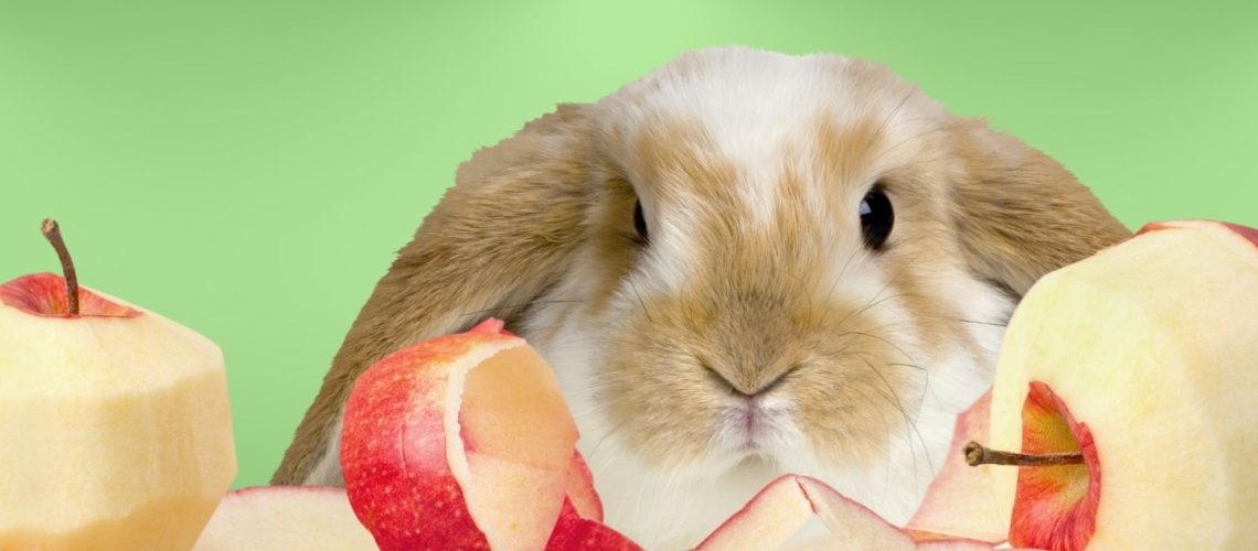 Can Rabbits Eat apple skin?
