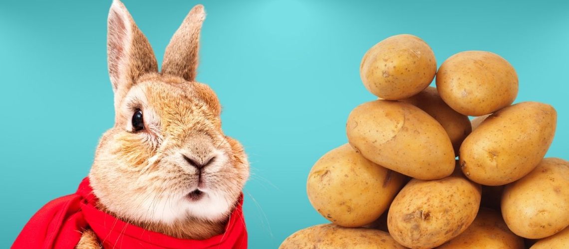 Can Rabbits Eat potatoes?